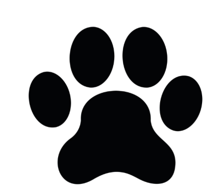 Pet Friendly